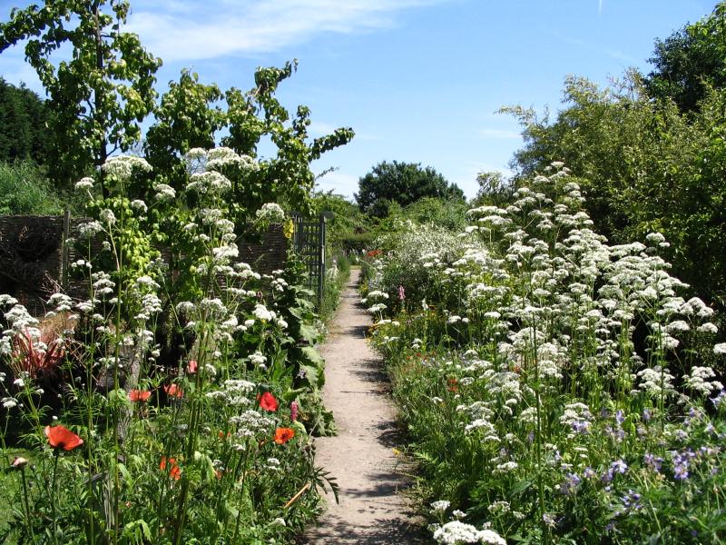 Twigs Community Garden